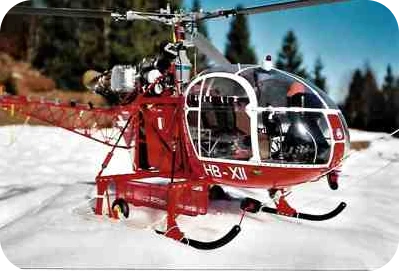 Lama auf Elektroantrieb umgebaut
